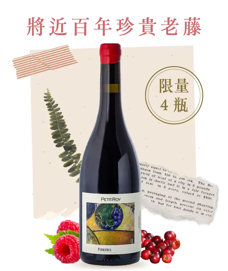 羅伊酒莊 佩理耶 上伯恩丘紅酒 Petit Roy Perrieres Hautes Cotes de Beaune 2023