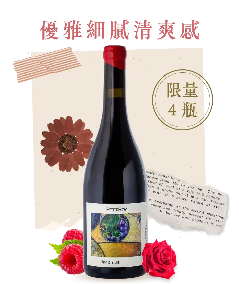 羅伊酒莊 維隆園 上伯恩丘紅酒 Petit Roy Vigne Vilon Hautes Cotes de Beaune 2023