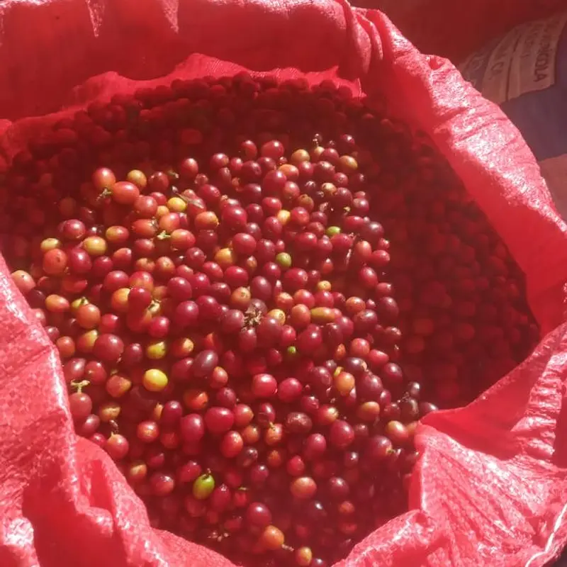 Varietals Red Blend 2024 - Image 1