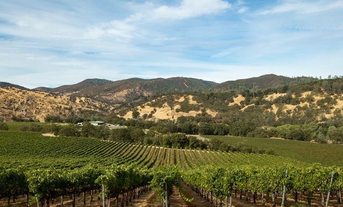 Nontypical Red Wine - Image 1