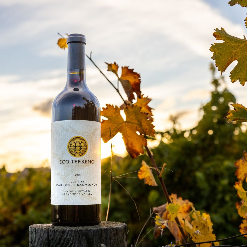 Cabernet Sauvignon - Image 1