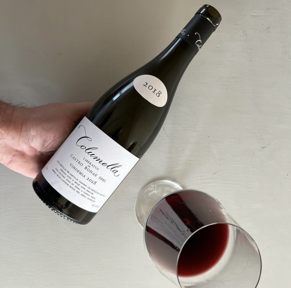 Wine Bottle