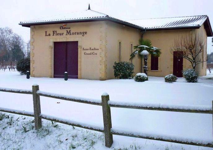 La Fleur Morange - Image 1