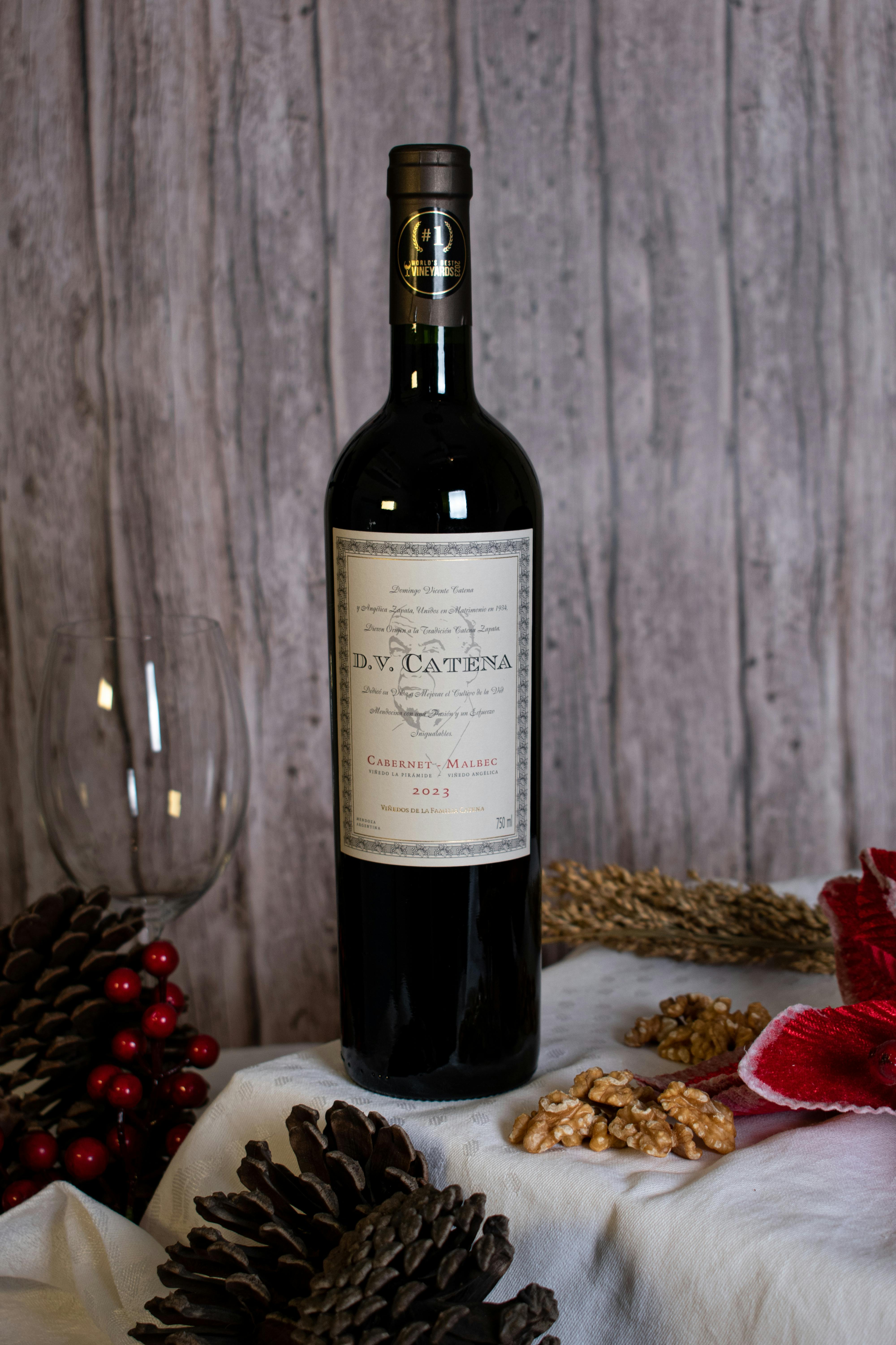 D.V. Catena Malbec-Malbec Vinedo Angelica - Image 1