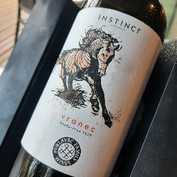 Instinct Vranec - Image 1
