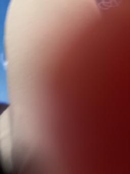The image is not good enough to make a good identification - Image 1