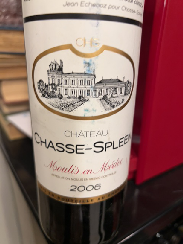 Château Chasse-Spleen Moulis-en-Médoc - Image 1