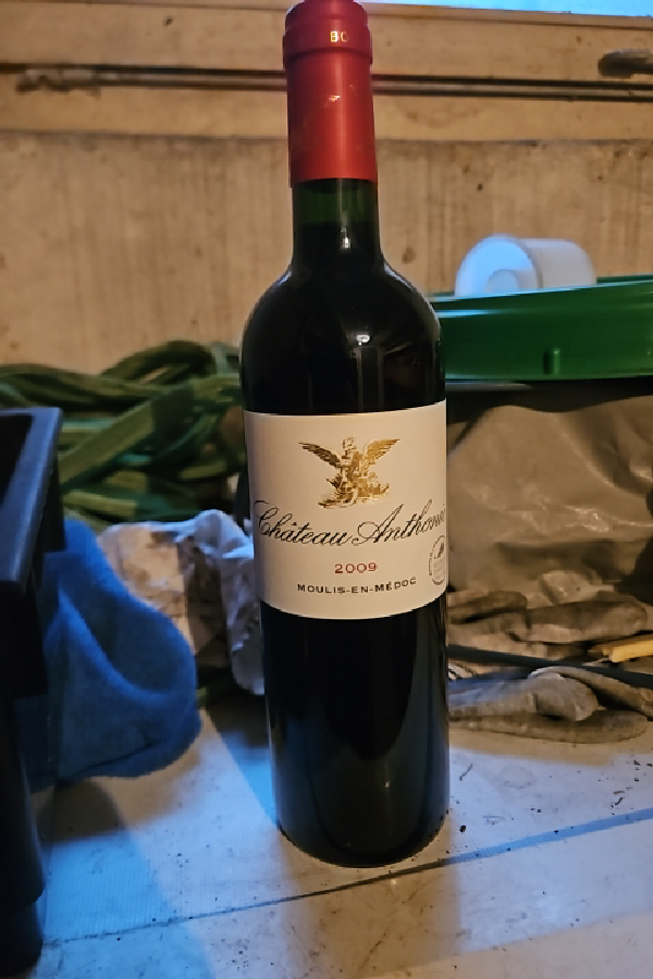 Chateau Anthonic - Image 1