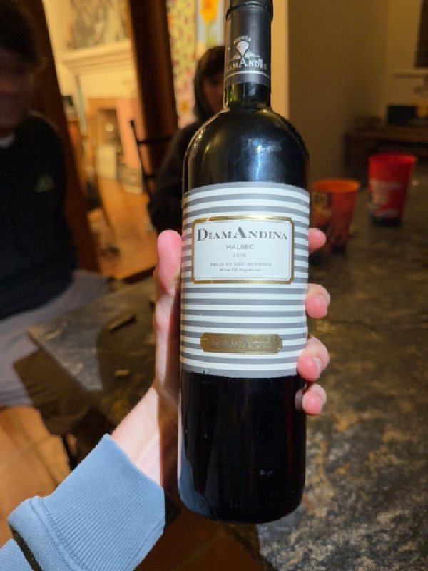 DiamAndina Malbec - Image 1