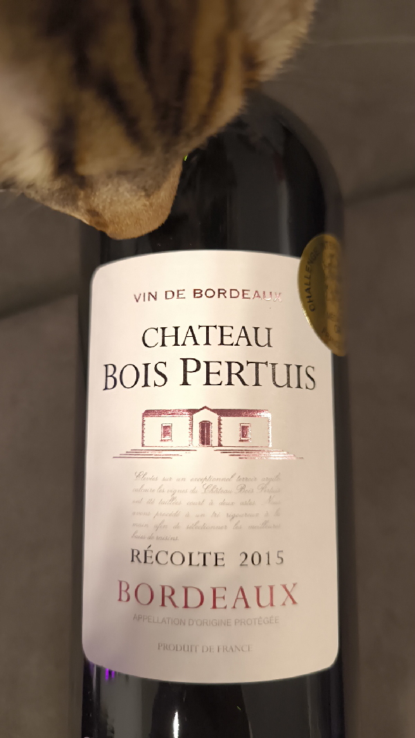 Chateau Bois Pertuis - Image 1
