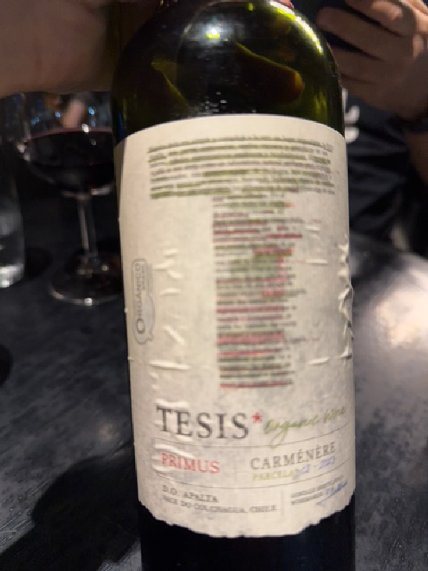 Tesis Primus Carmenere Parcelas 2023 - Image 1