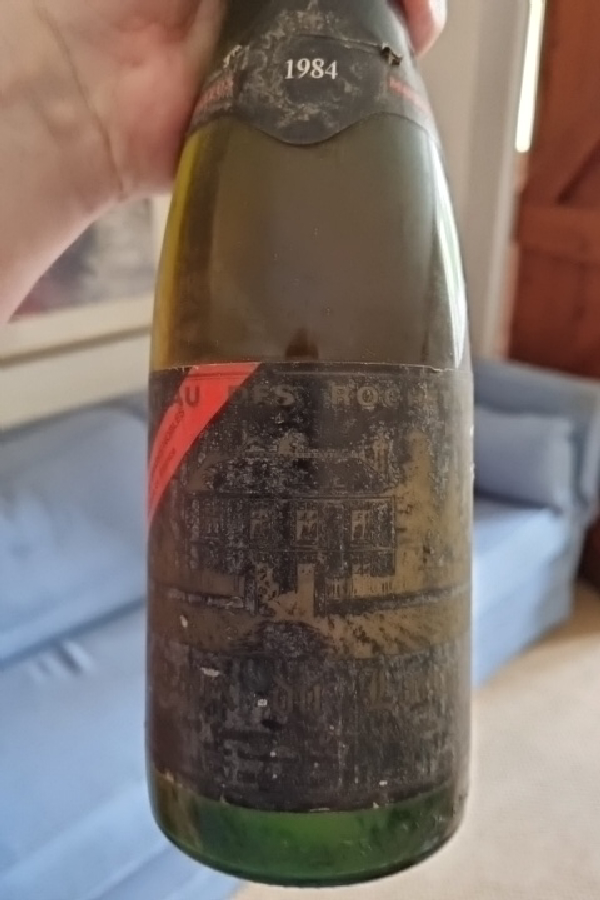 Château Les Roches - Image 1