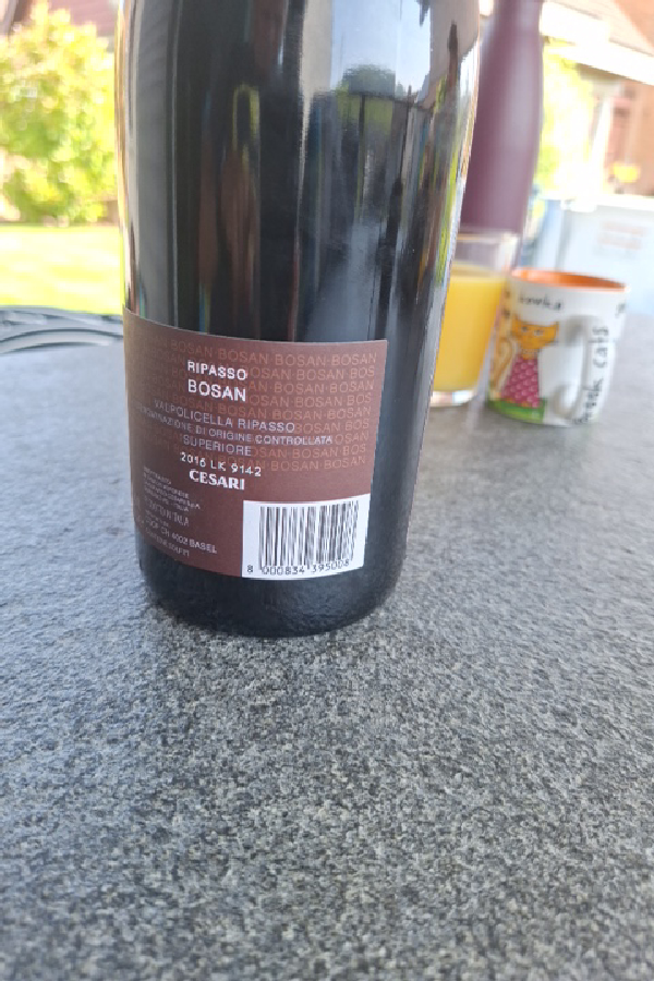 Bosan Valpolicella Ripasso Superiore - Image 1