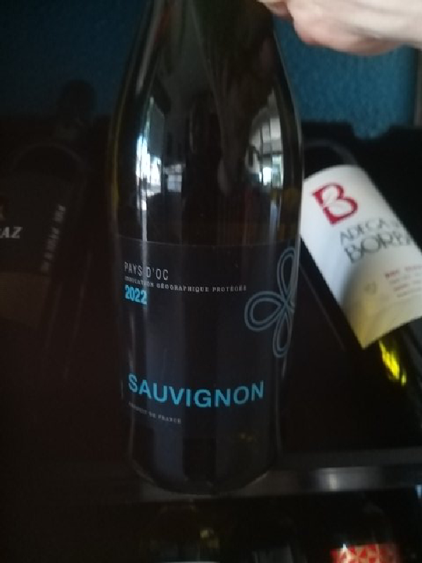 Sauvignon - Image 1