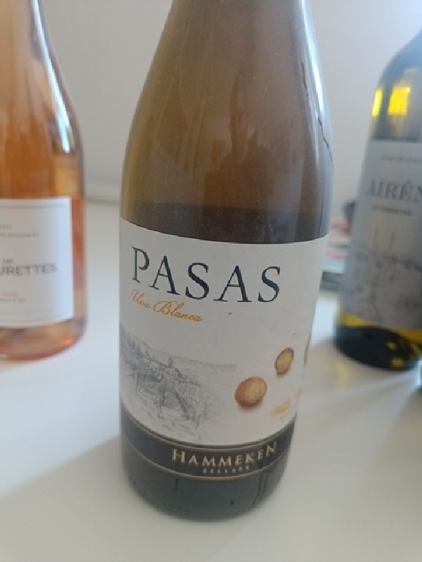 Pasas Uva Blanca - Image 1