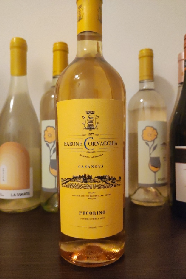 Casanova Pecorino Controguerra DOC - Image 1