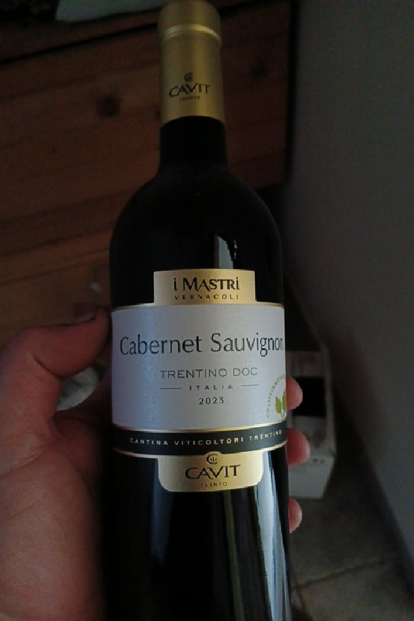 Cabernet Sauvignon Trentino DOC - Image 1