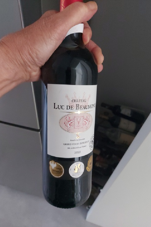 Luc de Beaumont - Image 1