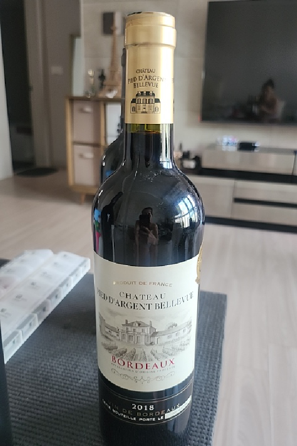 Chateau Pied d'Argent Bellevue - Image 1