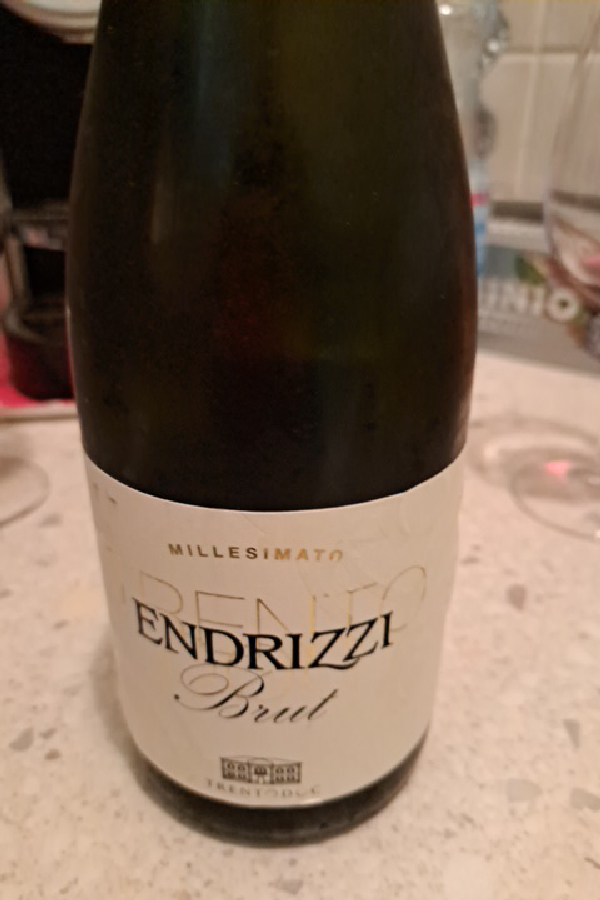 Trento Endrizzi Brut Millesimato - Image 1