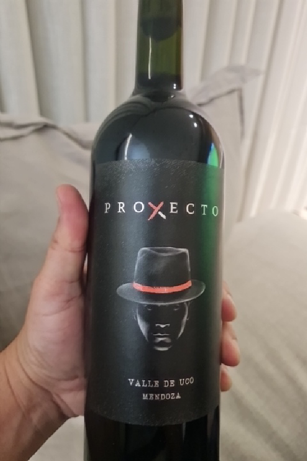 Proyecto Las Compuertas Malbec - Image 1
