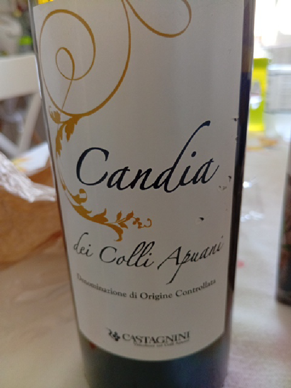 Candia dei Colli Apuani - Image 1