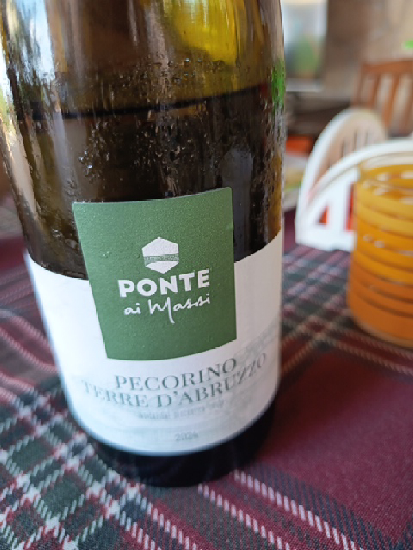 Pecorino Terre d'Abruzzo - Image 1