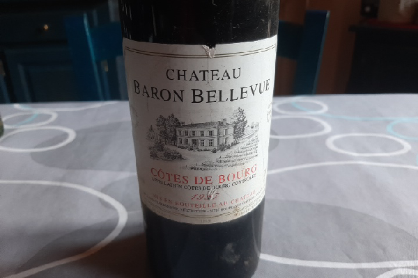 Château Baron Bellevue Côtes de Bourg - Image 1