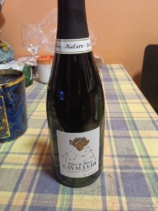 Blanc de Blancs Nature - Image 1