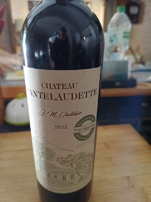 Chateau Cantelaudette - Image 1