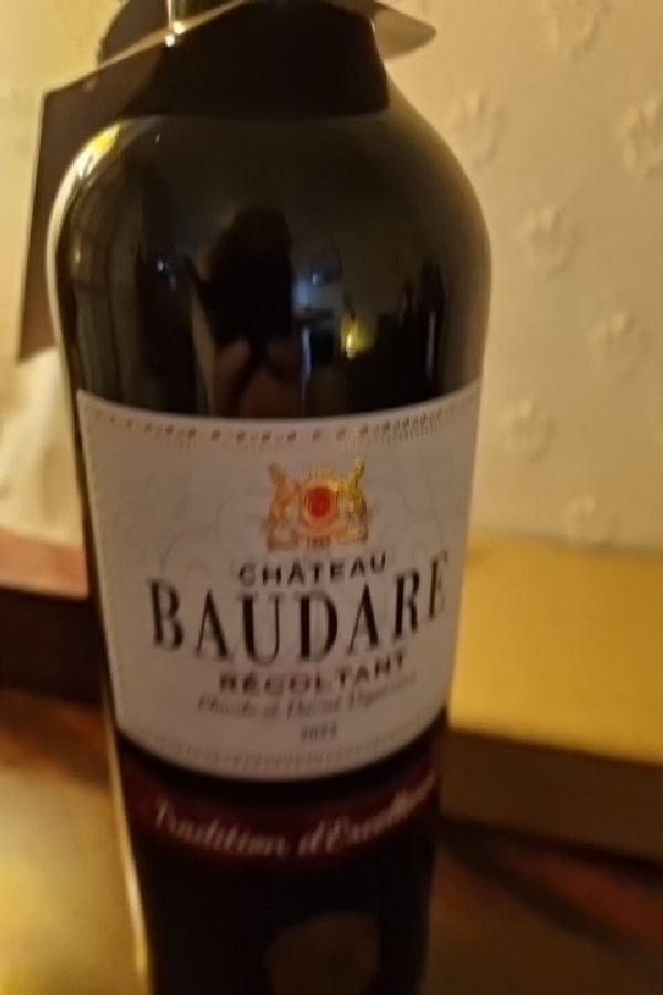 Château Baudare - Image 1