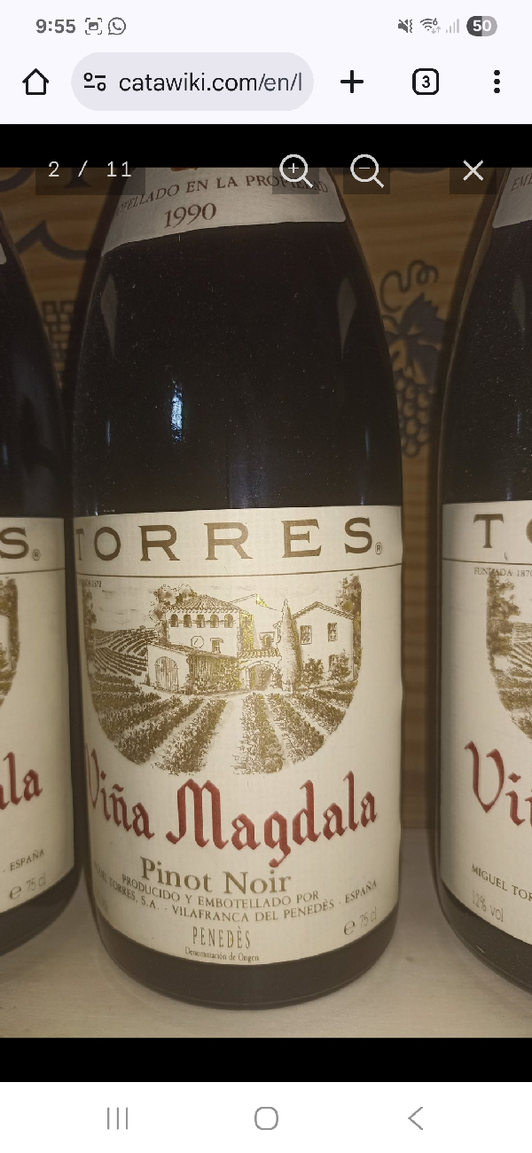 Viña Magdala Pinot Noir - Image 1