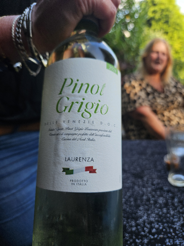 Pinot Grigio Delle Venezie DOC - Image 1