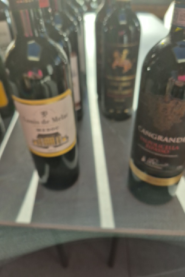 Louis de Melar Merlot - Image 1