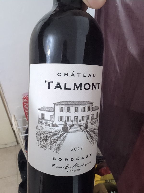 Château Talmont - Image 1