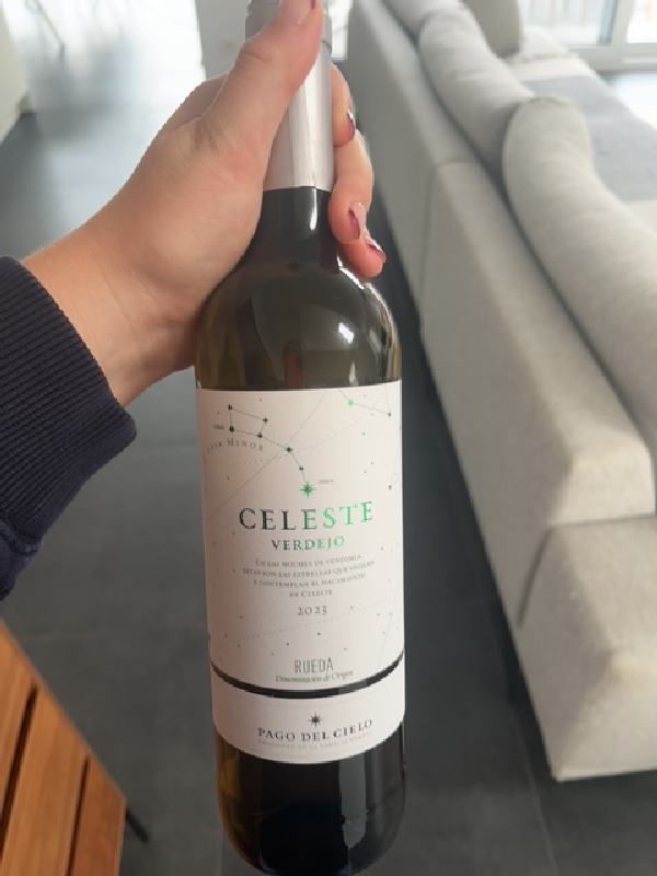 Celeste Verdejo - Image 1
