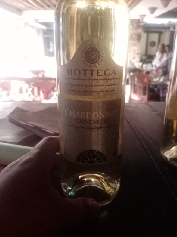 Chardonnay Trevenezie - Image 1