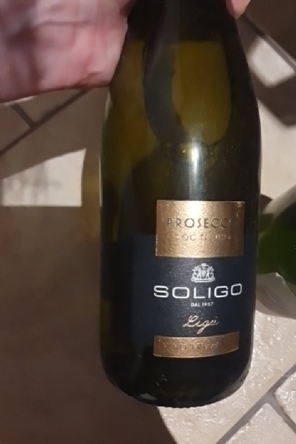 Ligo Prosecco DOC Treviso - Image 1