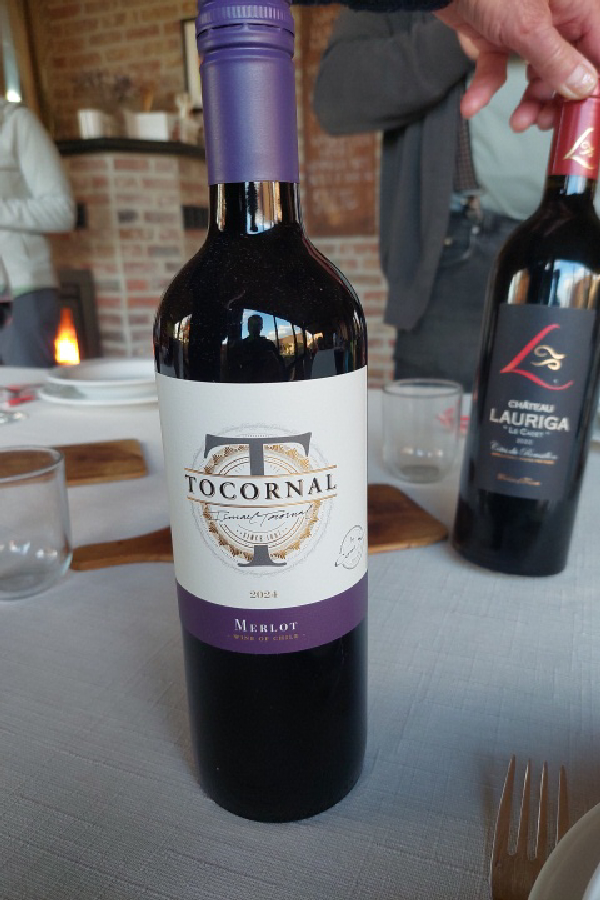 Tocornal Merlot - Image 1
