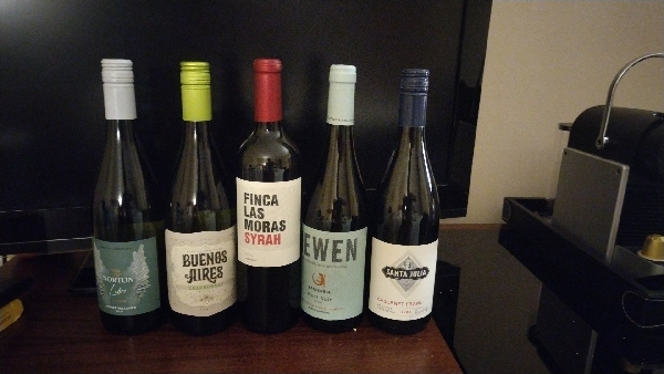 Ewen Patagonia Pinot Noir - Image 1