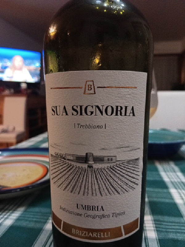Sua Signoria Trebbiano - Image 1