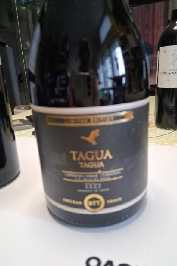 Tagua Tagua Reserva Carmenere - Image 1