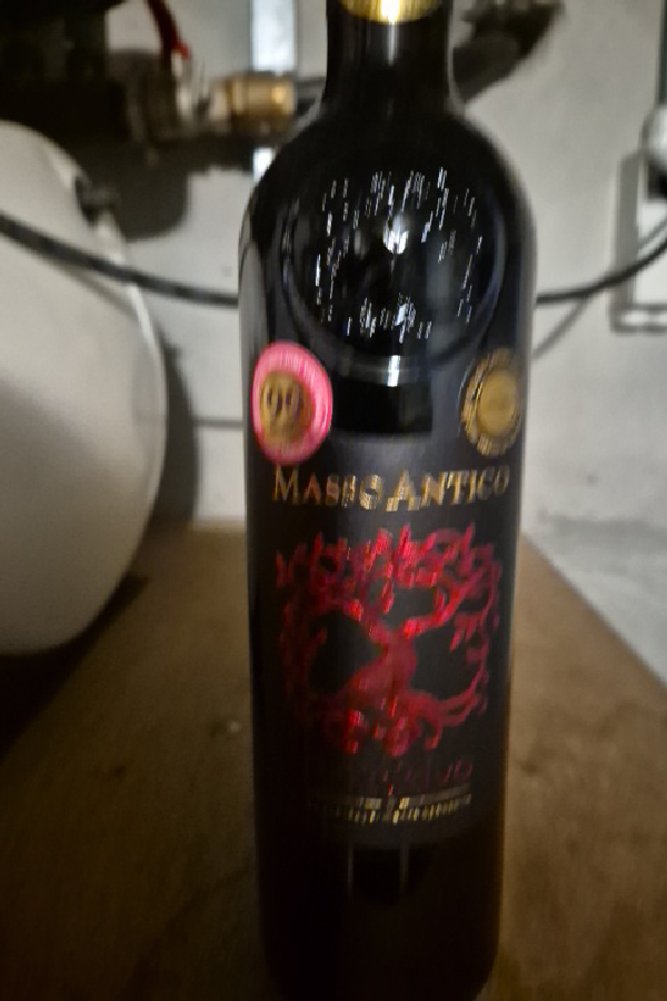 MASI Modello Rosso Delle Venezie - Image 1