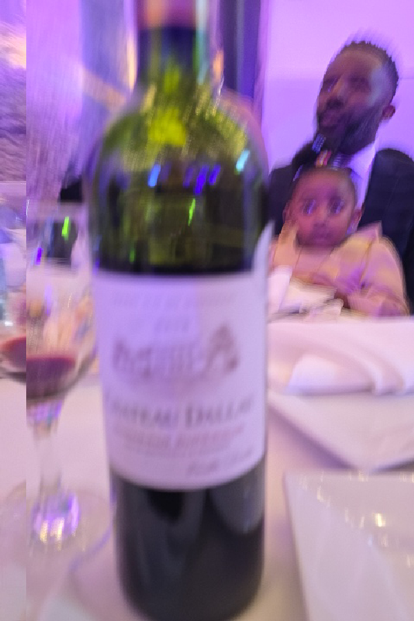 Chateau D'Aillac - Image 1