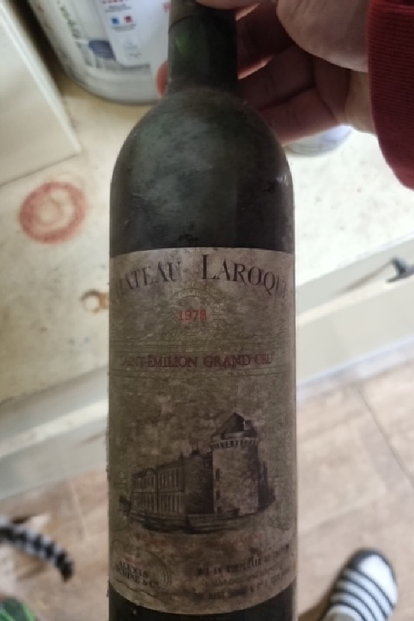 Château Laroque - Image 1