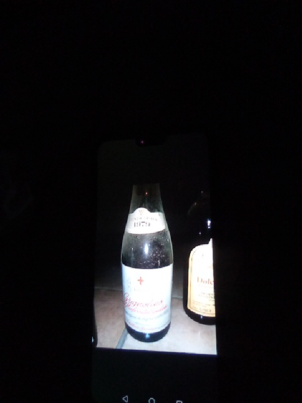 Signorelli Vernaccia - Image 1