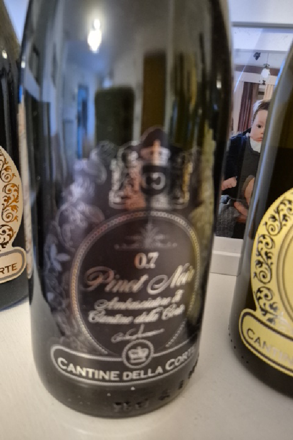 0.7 Pinot Noir Ambasciatore - Image 1