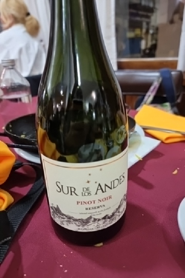 Pinot Noir Reserva - Image 1