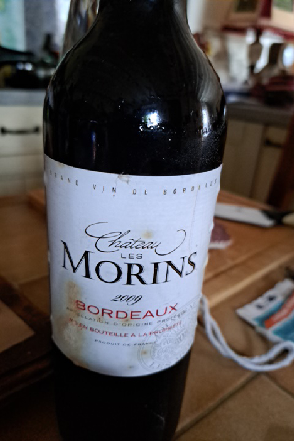 Château Les Morins Bordeaux - Image 1