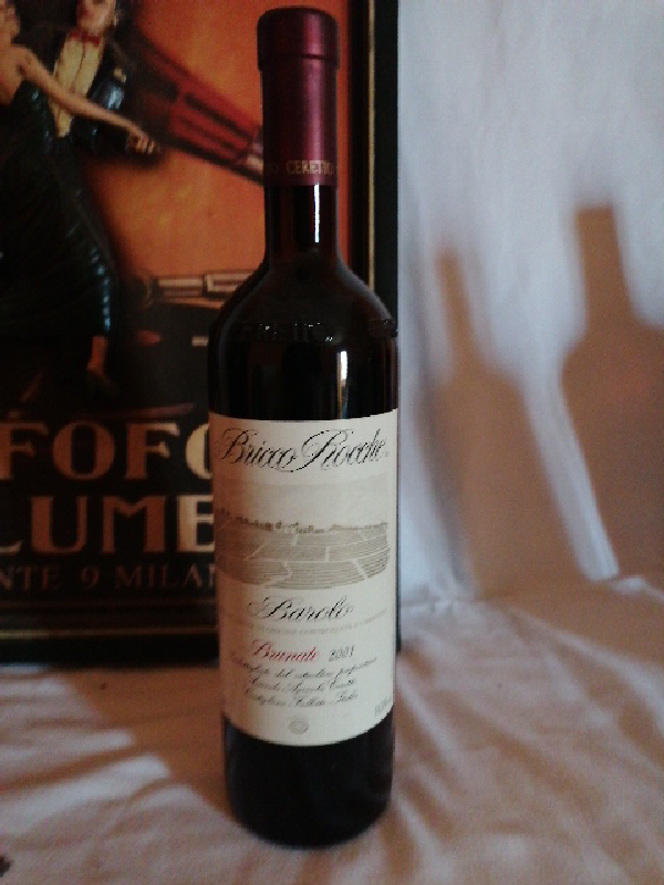 Barolo Bricco Rocche Brunate - Image 1